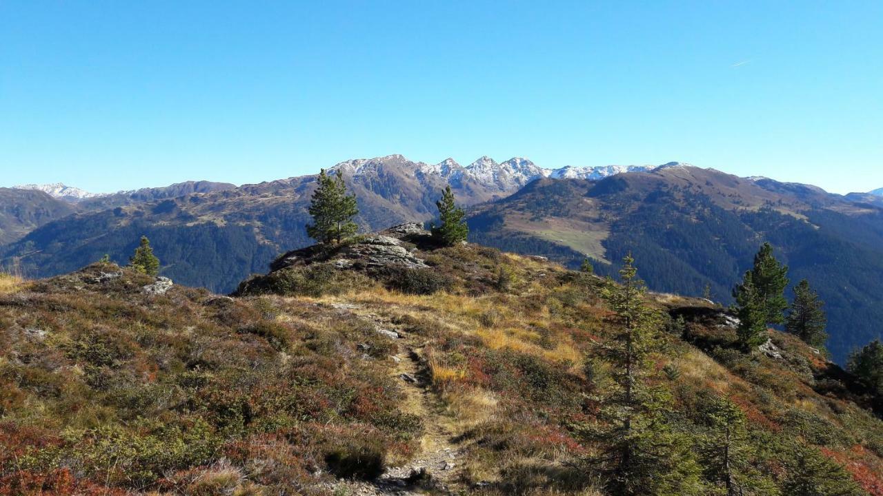 Fewo "Unterm Wald" Штумм Екстер'єр фото
